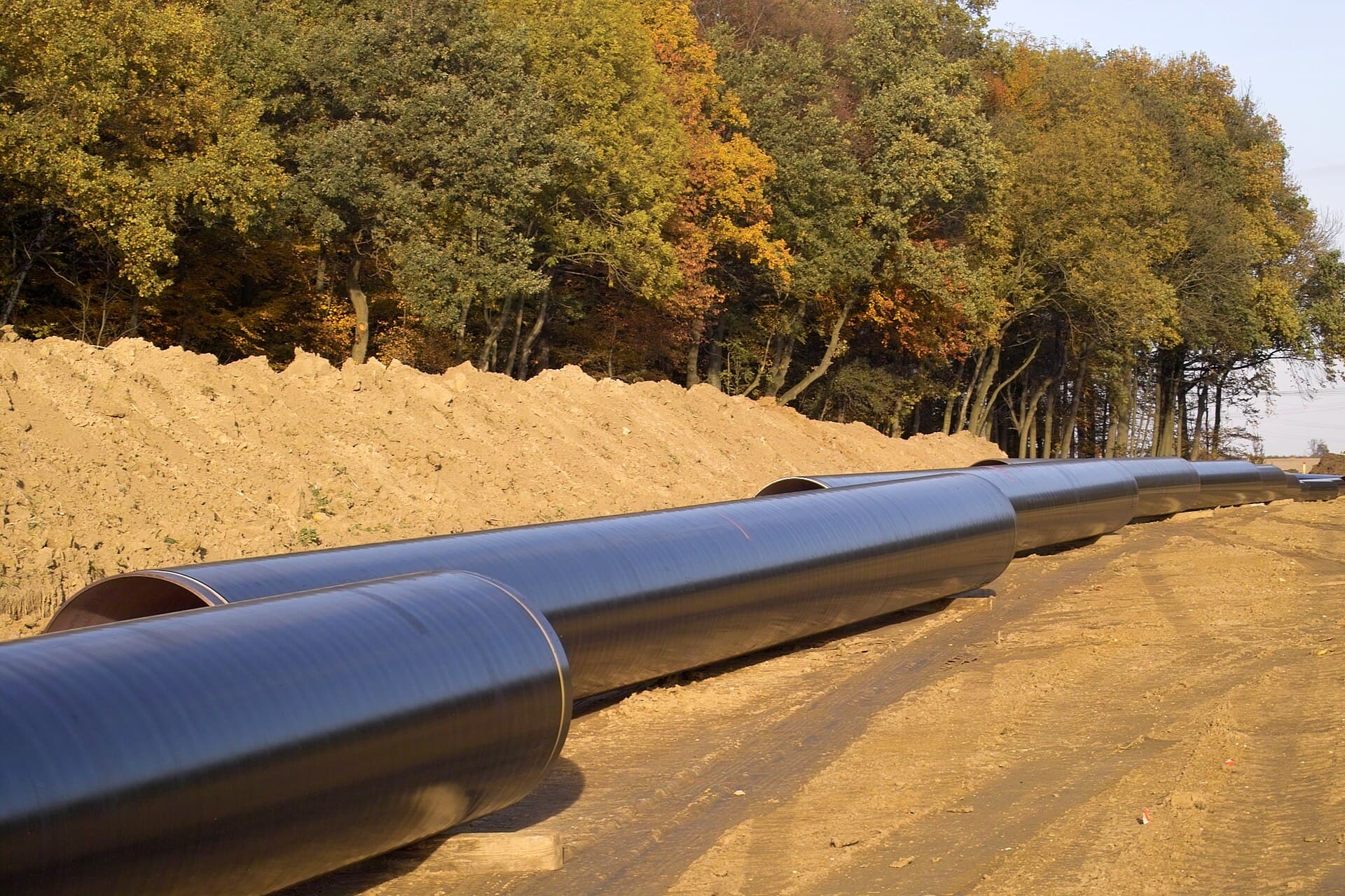 Line pipe strung along a pipeline route